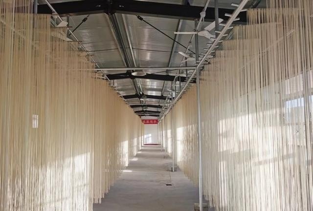 华球在线登录面条厂